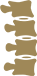 背骨