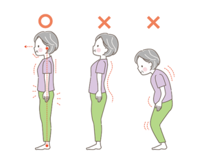 シニア女性の正しい姿勢